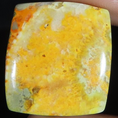 26.00 Cts Natürlicher Bumble Bee Jasper Cushion Cabochon 21x23x4 mm KL285