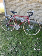 Vintage 1980s Bridgestone Kabuki Super Speed 23