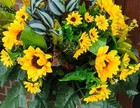 Bild 11 von 13