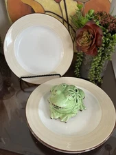 Steelite International Salad Plates Tan Brown 9" England Set of 3