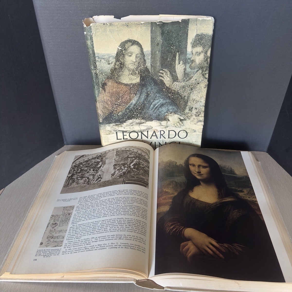 アート・デザイン・音楽 LEONARDO DA VINCI 1635 ILLUSTRATIONS VTG Leonardo Da Vinci Artabras 1967 HC/DJ 1635 Illustrations