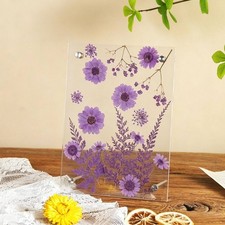Acryl-Blumenrahmen DIY gepresster Blumen-Displayrahmen leichte Handhabung