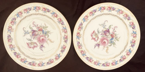 Vintage Rosenthal 10” VIENNA DINNER PLATES Floral on Ivory,-gold Set Of 2 EUC