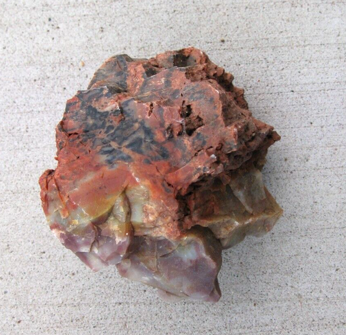 Versteinertes Holz aus Arizona - ca. 1,3 Pfund - sehr bunt - Bild 6 von 20