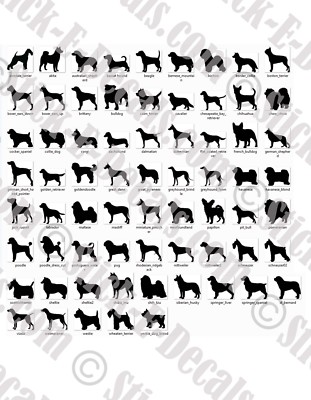 Breeds C-D Dog Breed Silhouette Vinyl Decal Sticker - FREE USA SHIPPING