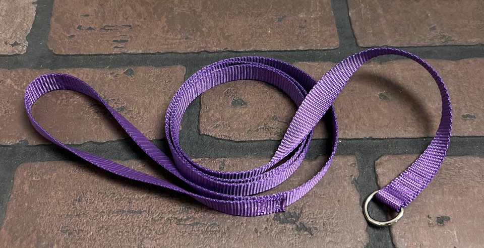 Correas Perro Slip Show Plomo Agilidad Entrenamiento Miletas Fuerte Delgado Ligero Cachorro Foto 4 de 4