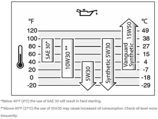 100005 SAE 30 Engine Oil 18oz Bottle and Fuel Treatment