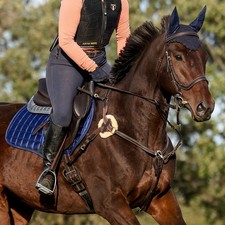 Five Point English Saddle Breastplate - Equitare - Black or Brown