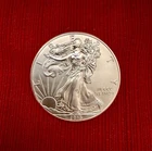 2013 American Silver Eagle 1 Troy Oz. .999 Fine One Dollar Coin BU