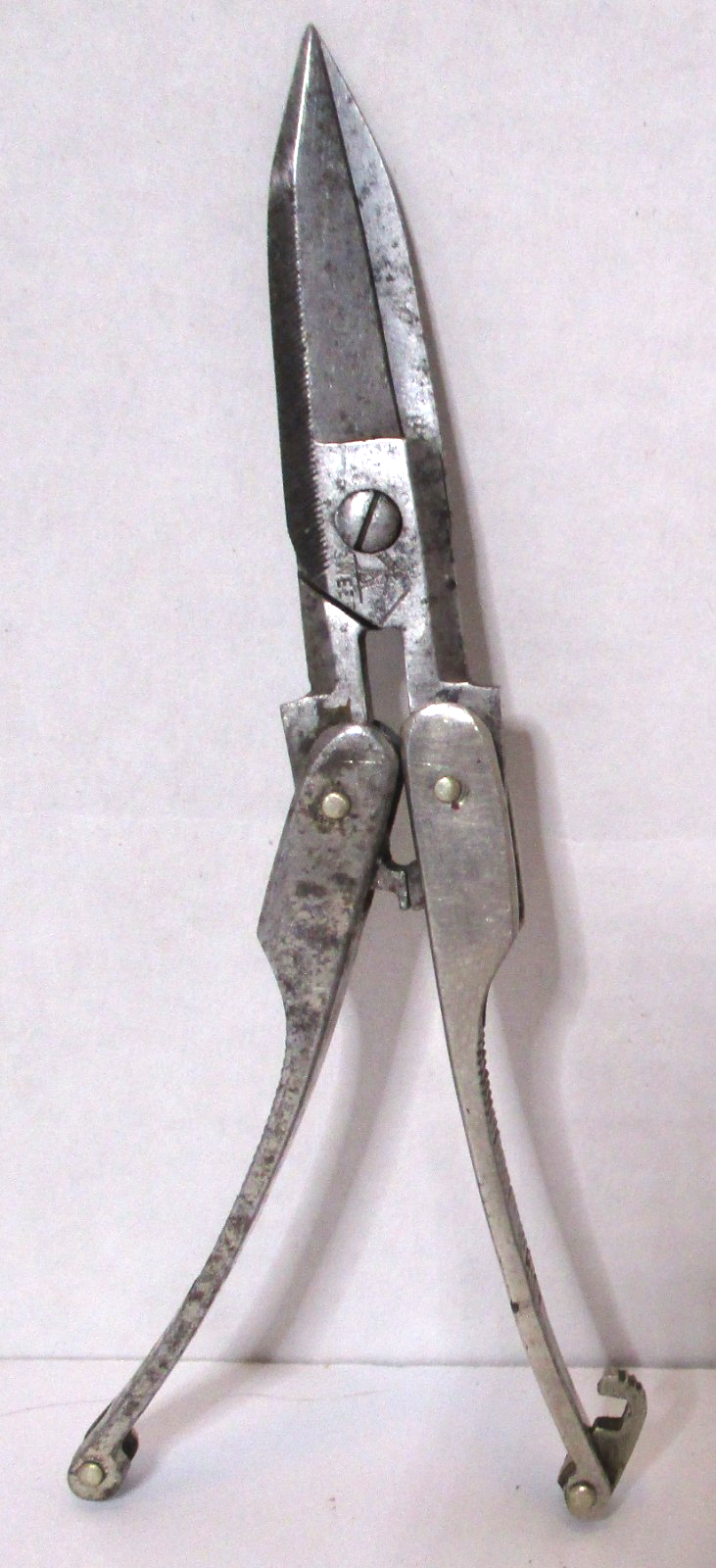 ANTIQUE FOLDING POCKET SCISSORS SHEARS COLLECTIBLE ~ GERMAN? CHECK IT ...