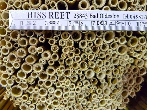 Hiss Reet für Insektenhotel, Schilfrohr Schilfhalme naturbelassen unbehandelt - Bild 4 von 4
