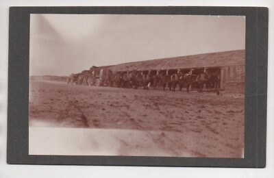 1890s Photo of 20 Mule Team Wagon Borax