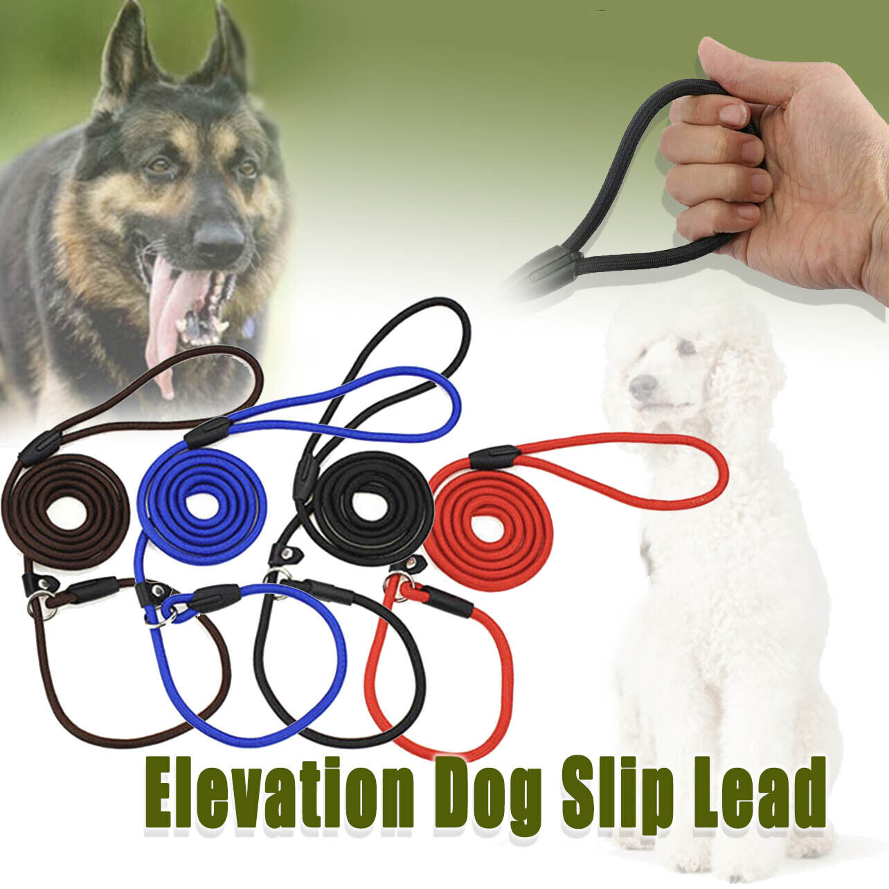 Dog Training Correction Leash Lead Cesar Puppy Pets Millan Slip Nylon
