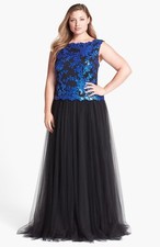 Tadashi Shoji Embellished Lace & Tulle Gown (size 16Q)