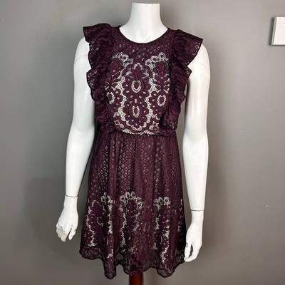 Whimsigoth Dark Romantic dress XS all over lace purple babydoll Grunge Parker
