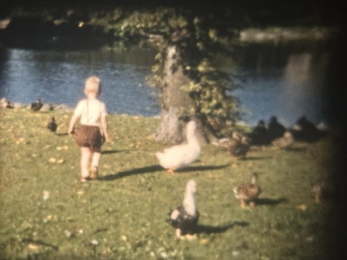 Bobina pellicola Larchmont New York 1959s Beach Duck Pond 8mm film casa - Foto 5 di 9