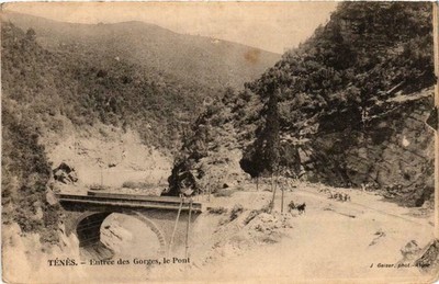 CPA ALGERIA Geiser TENES Entrée des Gorges le Pont (756149)