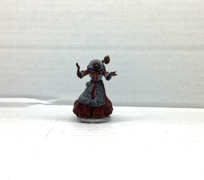 DnD Beyond the Witch Light- Skabatha Nightshade miniature