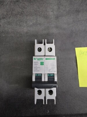 Square D M9F42201 Multi9 C60Bp 2P C 1A Main Circuit Breaker