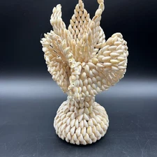 Vtg Folk Art Handcrafted Trompe I’oeil Cowrie Shell  Decorative Vase 11”