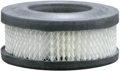 Air Filter  Baldwin  PA1704