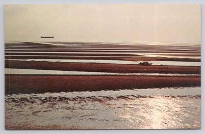 Low Tide Thumpertown Beach Eastham Cape Cod MA Postcard P.K. Johnson Photo