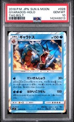 Gyarados 028/095 Tag Bolt Holo Rare Japanese Pokemon Card