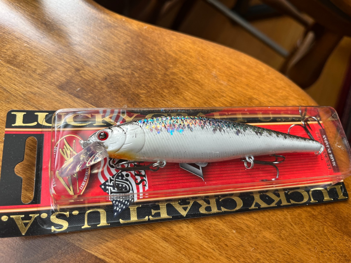 Wlure 12.1cm Pesciolino Crankbait o Esca Crank Jerkbait Floating Esche per M262S Wlure 12.1cm Pesciolino Crankbait o Esca Crank Jerkbait Floating Esche per M262S