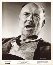 The Proud Rebel 1958 Photo 8x10 Dean Jagger Press Western *P111b