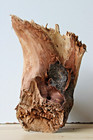 Treibholz Schwemmholz Driftwood 1 knorrige Skulptur Basteln Dekoration 23 cm