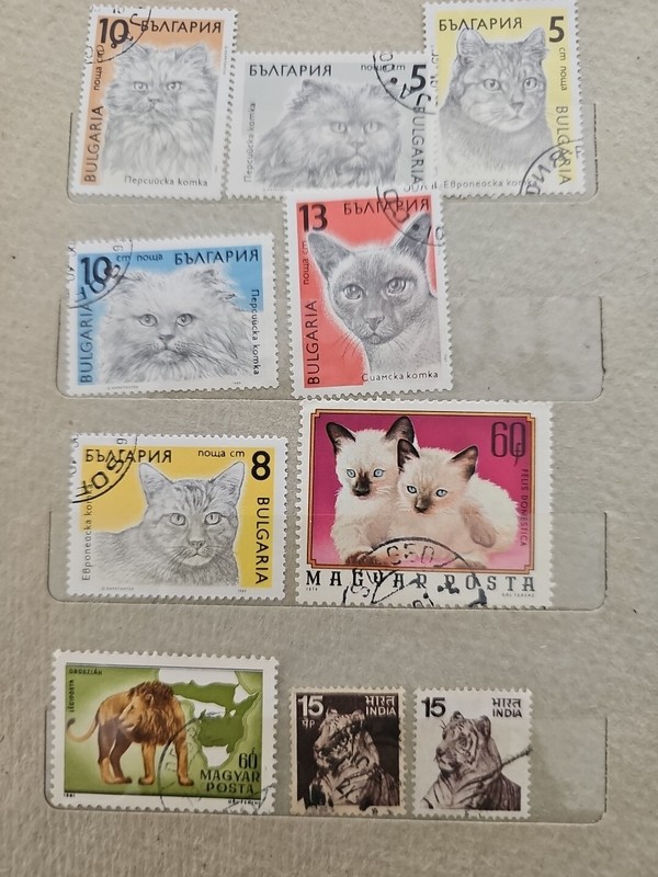 Cats / Feline Stamps Collection - 25 Different Stamps 