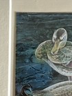 Picture 3 of 13