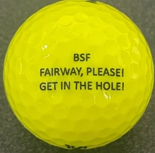  BSF Fairway, Please! Get in the Hole! Logo Golf Ball BG-10-AS Yellow Srixon 