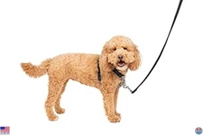 PetSafe 3-in-1 Easy-Walk Dog Harness - Comfortable Chest Harness, Front Clip,