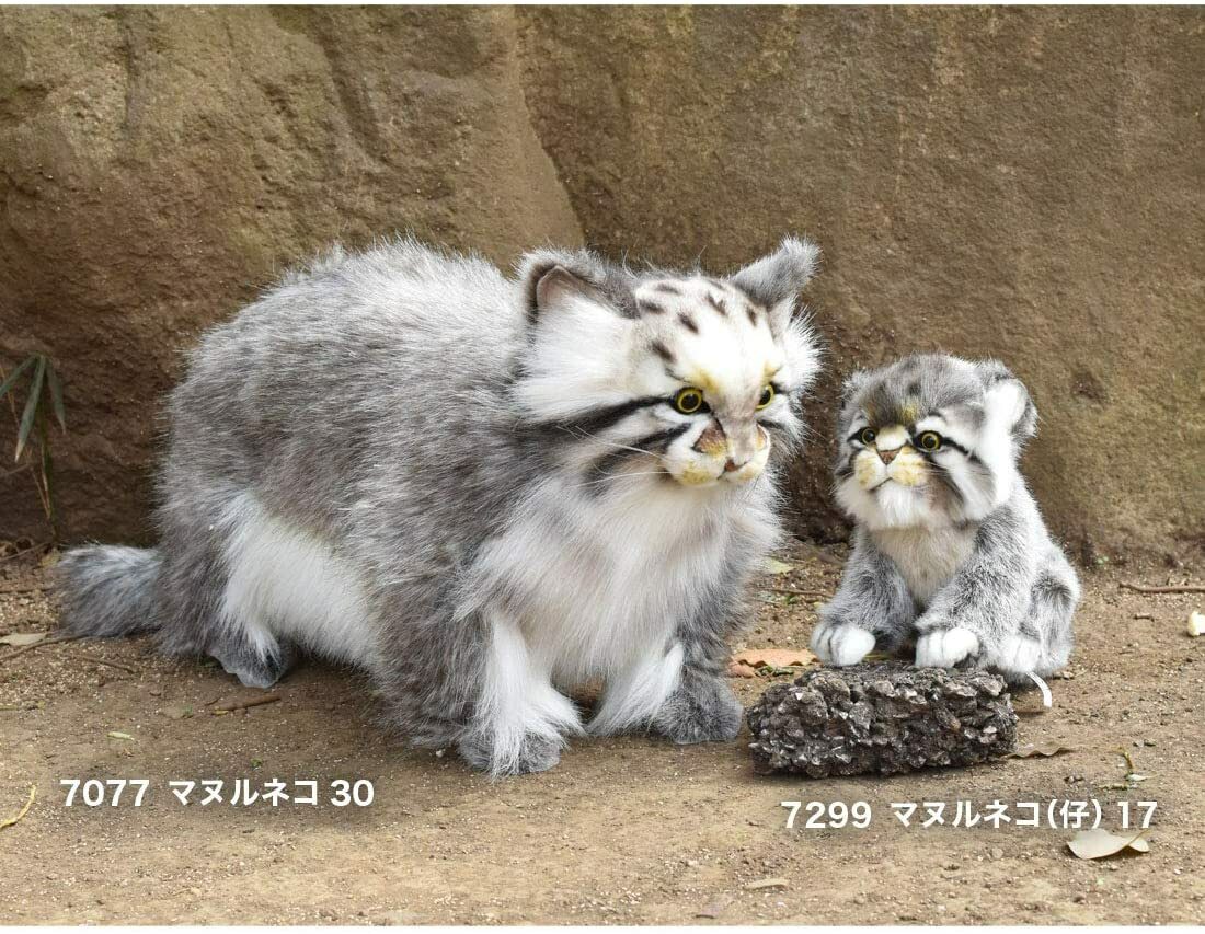 pallas cat stuffed animal