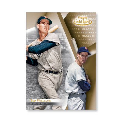 Ted Williams #22 Rot Sox Klasse 2 Version # Ed / 10 Made 2018 Topps Gold Label