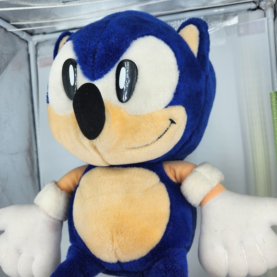 Sonic The Hedgehog Plush 1991 SEGASONIC SYNFU Taiwan 24