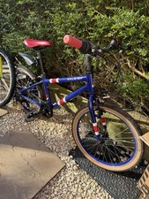 Raleigh Pop Kids' 20-inch Blue Bike