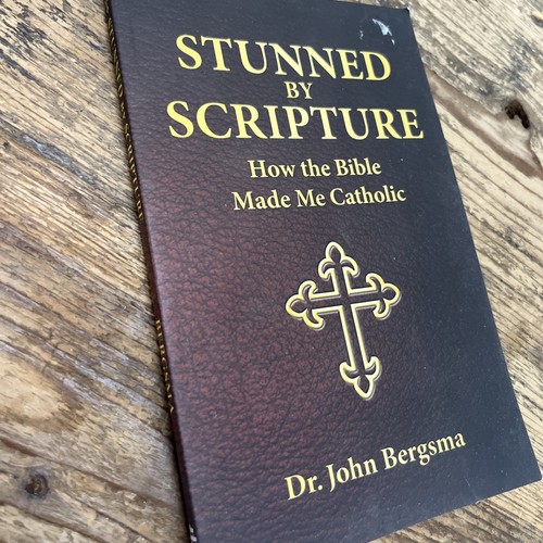 Stunned by Scripture : How the Bible Brought Me Home by John Bergsma (2017,...