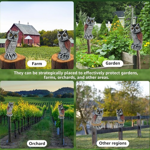 2 Pack Owl Decoys to Scare Birds Away Scarecrow Fake Owl with Rotating Head - Picture 5 of 7