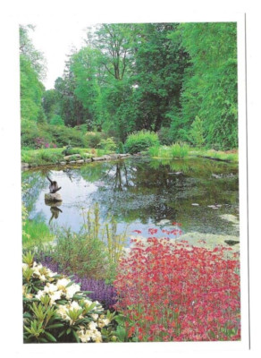 Clan Donald Centre, Armadale: Isle of Skye: Gartenpflanzen Primelle Kandelaber.
