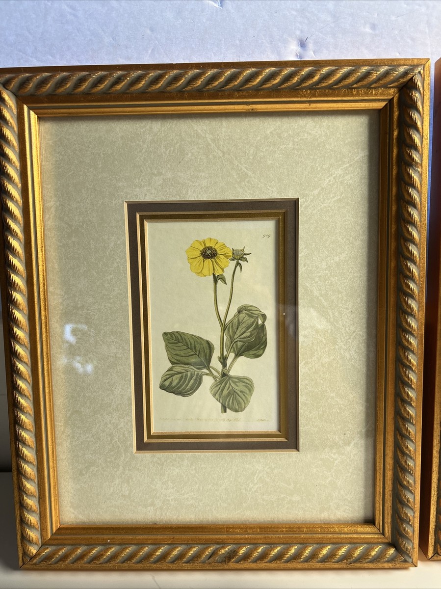 VTG Set Art Source International Blue Botanical FLOWERS 8/10 Gold