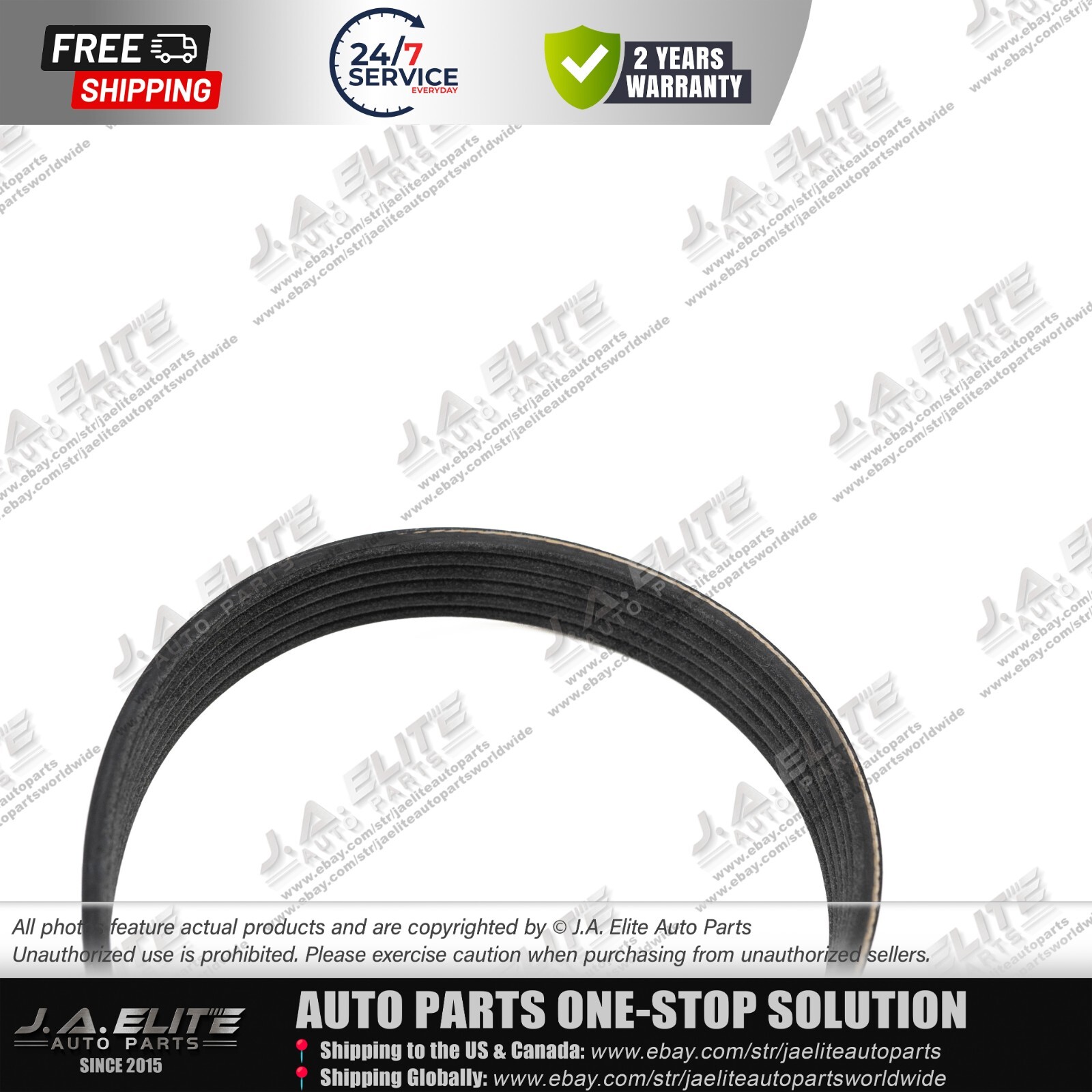 Maserati Quattroporte Serpentine belt P/N 286570