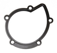 Elring 394.280 Gasket, Water Pump For CitroËN DS Fiat Ford Ford Australia Lancia