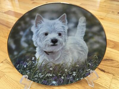 westie plates