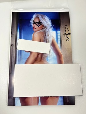Cool Comics Cover Gallery Sidney Augusto Black Cat Full Naughty LTD 100