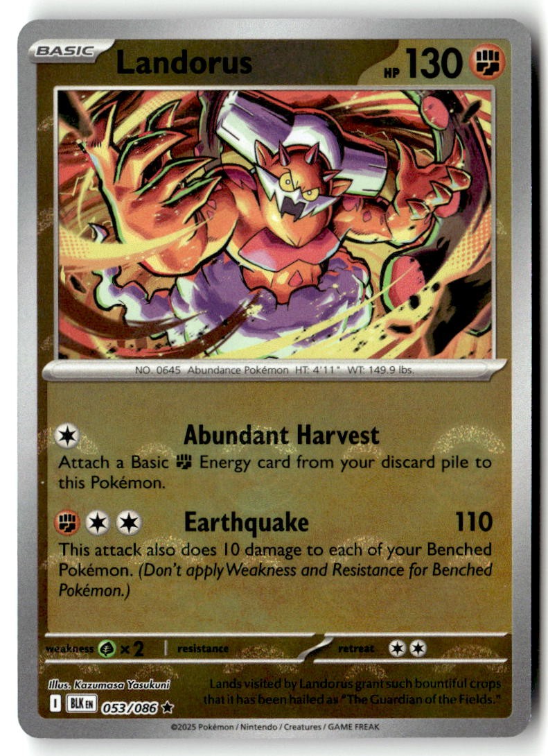 Landorus (Poke Ball Pattern) 053/086 Holofoil - BLK - PTCG - LP