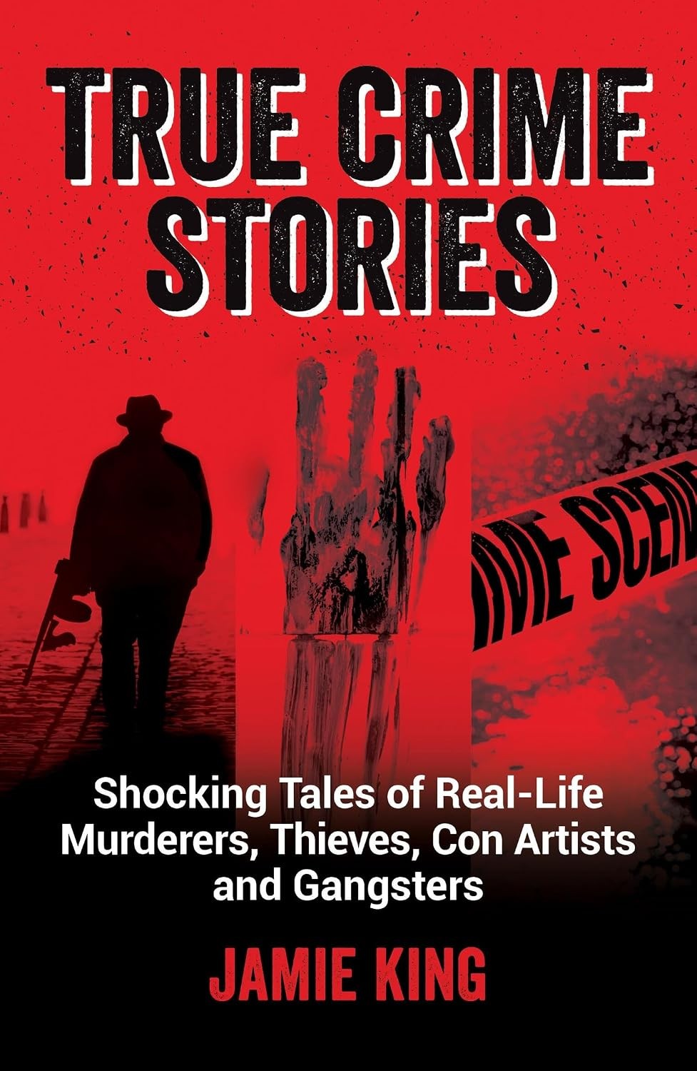 True Crime Stories: Shocking Tales of Real-Life Murderers, Thie - Image 3