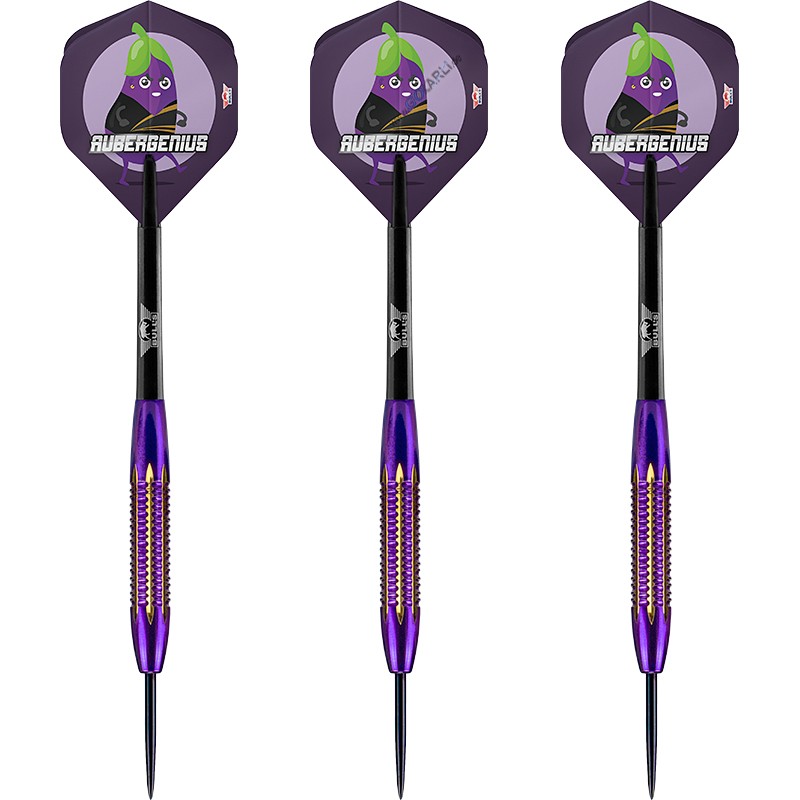 BULLS Steel Darts Dirk van Duijvenbode Aubergenius Brass Steeldart 21g 5690₽