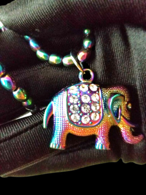 Rainbow, Huge, Shiny Elephant Magnetic Pendant in Stainless-Steel With 18'' Chain